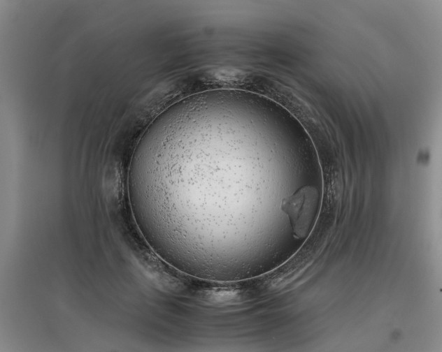 X0000097000651200802151415