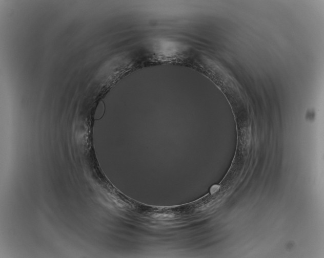X0000097000653200802151415
