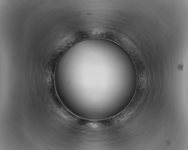 X0000097000654200802151415