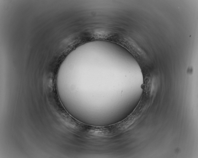X0000097000655200802151415