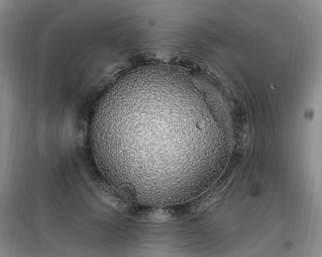 X0000097000656200802151415