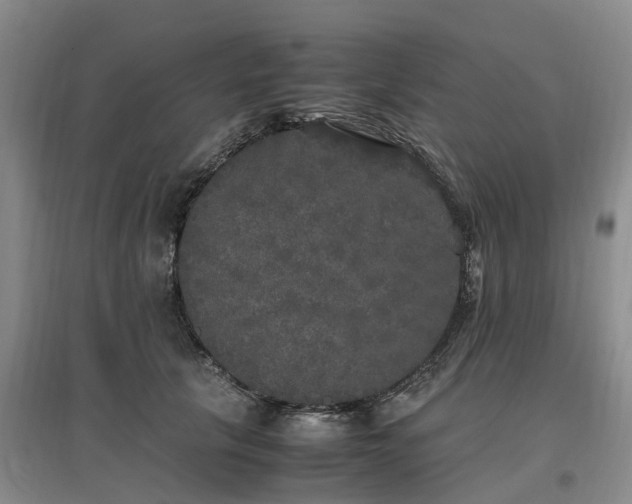 X0000097000657200802151415