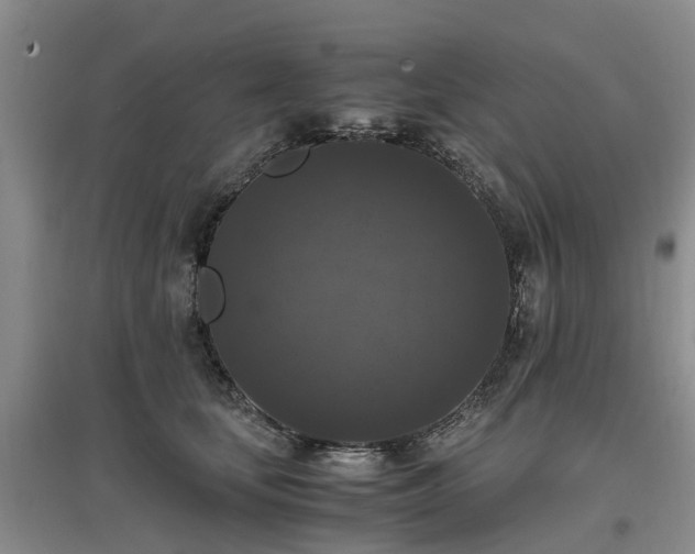 X0000097000659200802151415