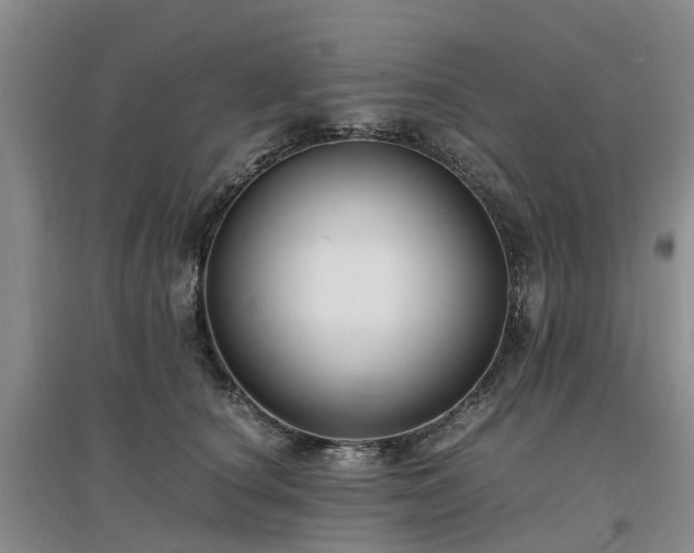 X0000097000660200802151415