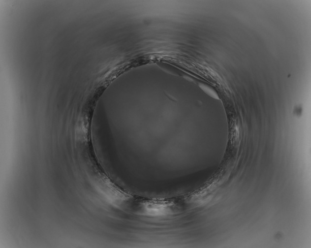 X0000097000661200802151415