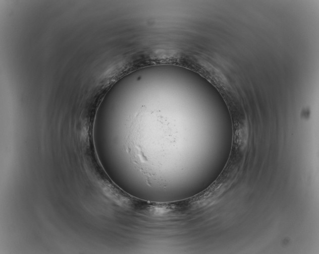 X0000097000662200802151415