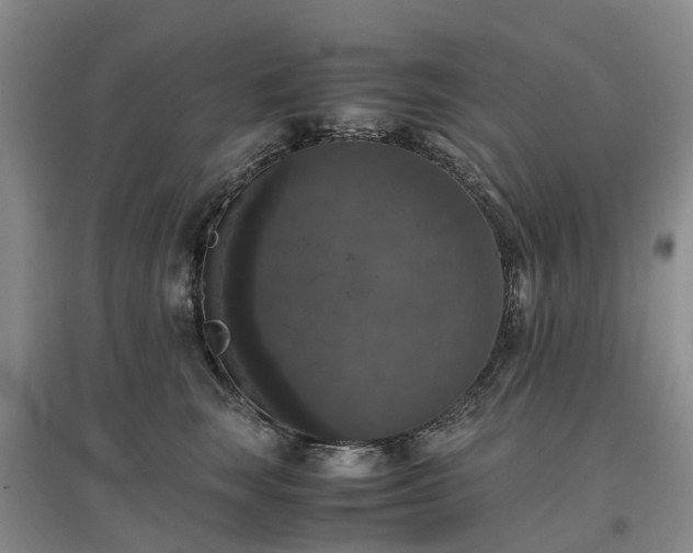 X0000097000663200802151415