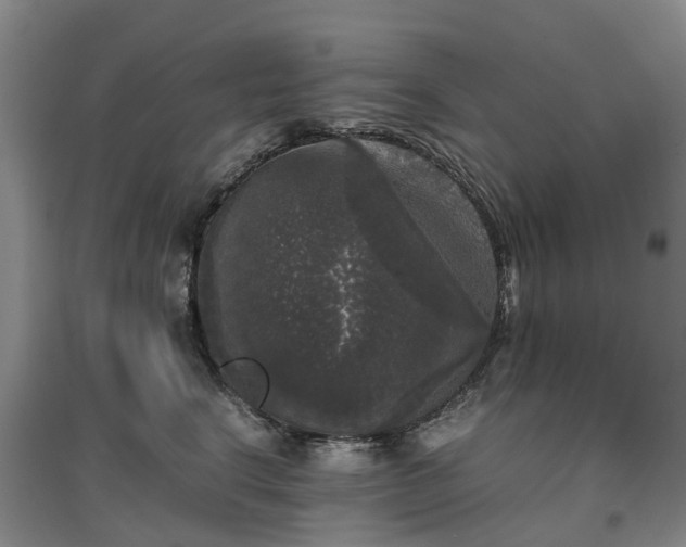 X0000097000664200802151415