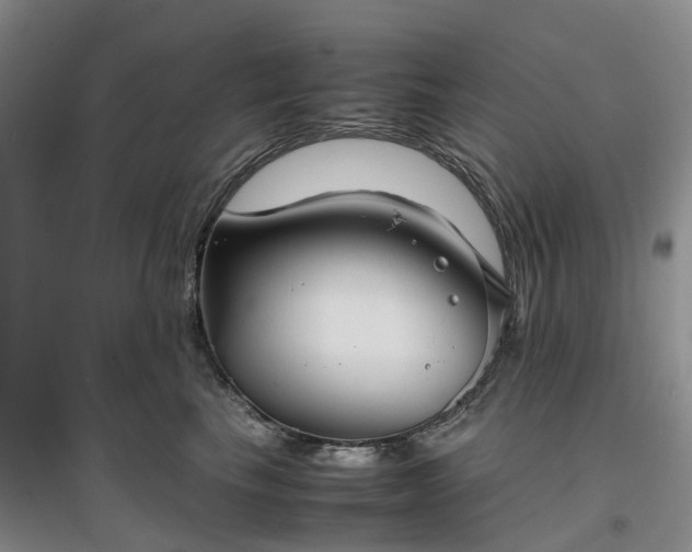 X0000097000665200802151415