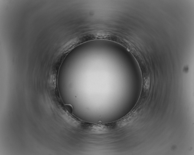 X0000097000666200802151415