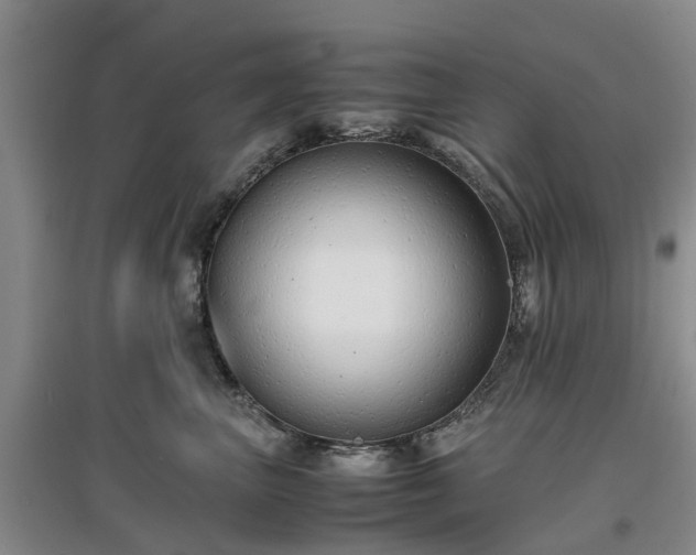 X0000097000667200802151415