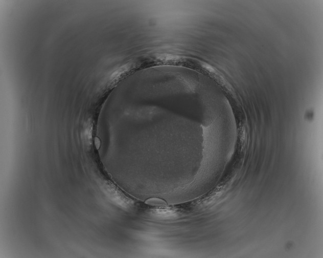 X0000097000668200802151415