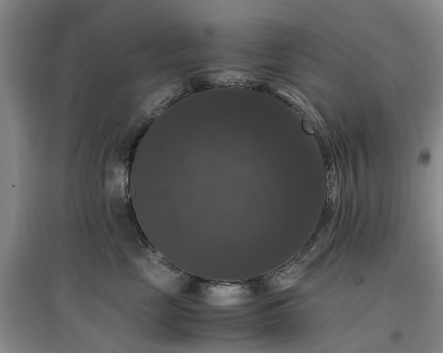 X0000097000669200802151415