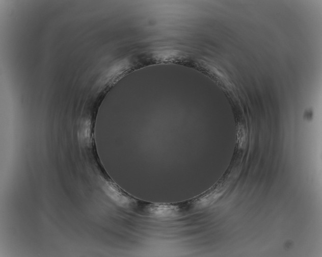 X0000097000670200802151415
