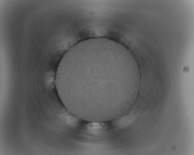 X0000097000672200802151415