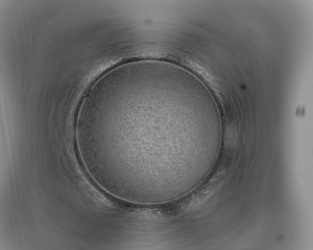 X0000097000673200802151415