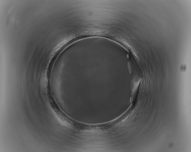 X0000097000674200802151415
