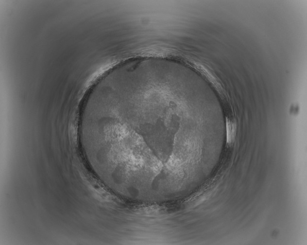 X0000097000675200802151415