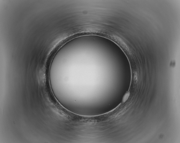 X0000097000676200802151415