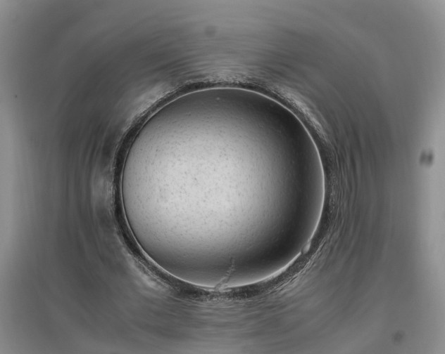 X0000097000677200802151415