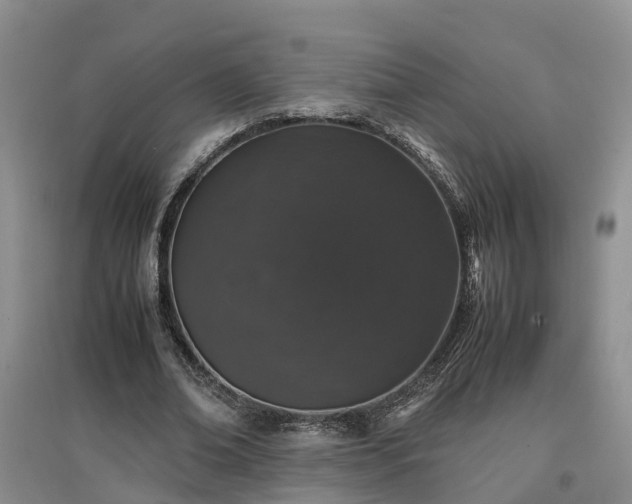 X0000097000678200802151415