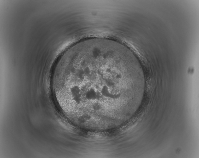X0000097000679200802151415