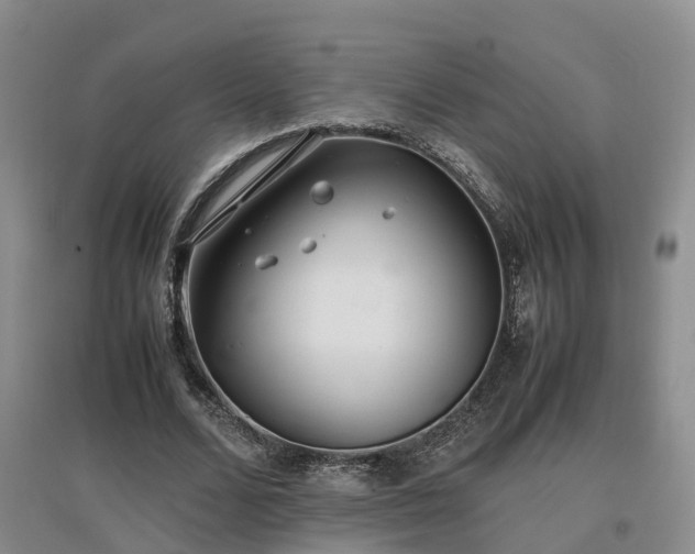 X0000097000680200802151415