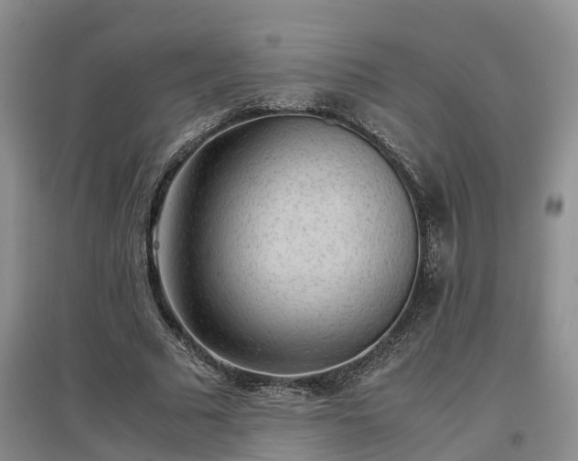 X0000097000681200802151415