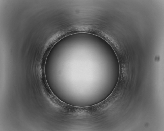 X0000097000682200802151415