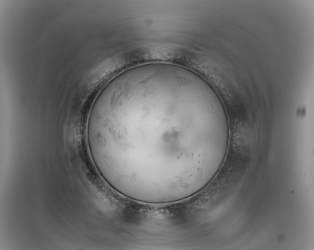 X0000097000683200802151415