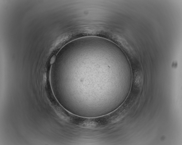 X0000097000685200802151415