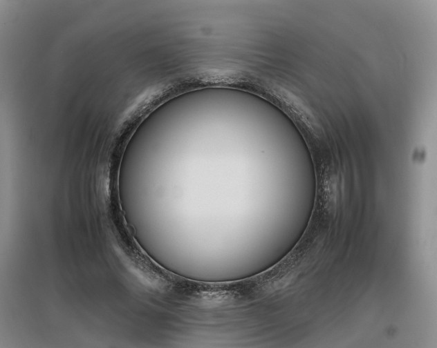 X0000097000686200802151415