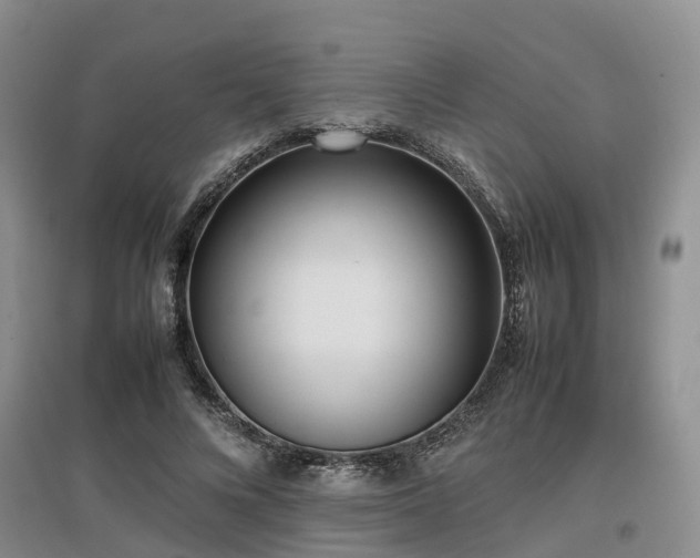 X0000097000688200802151415