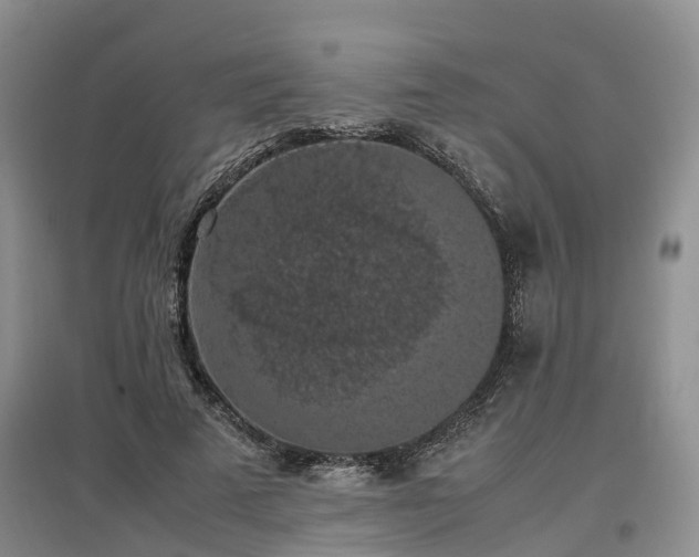 X0000097000689200802151415