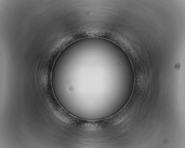 X0000097000690200802151415