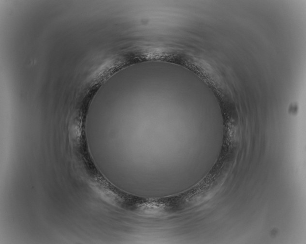 X0000097000691200802151414