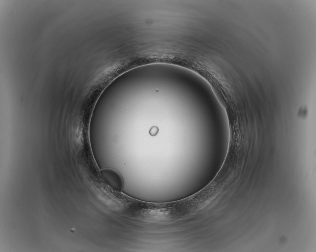 X0000097000692200802151414