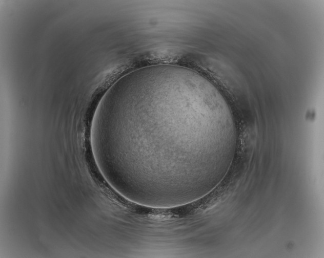 X0000097000693200802151414