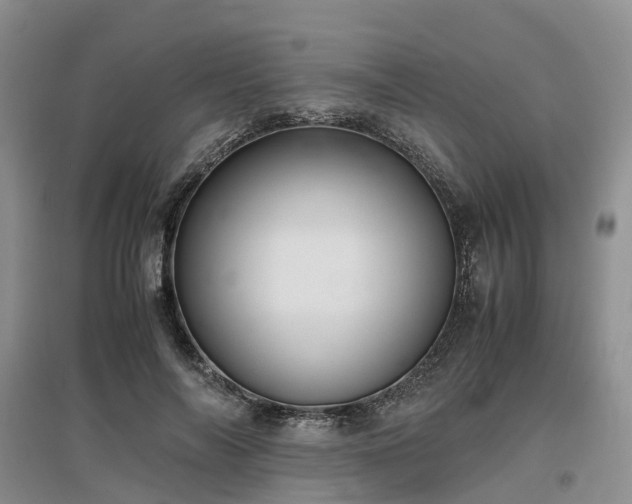 X0000097000694200802151414