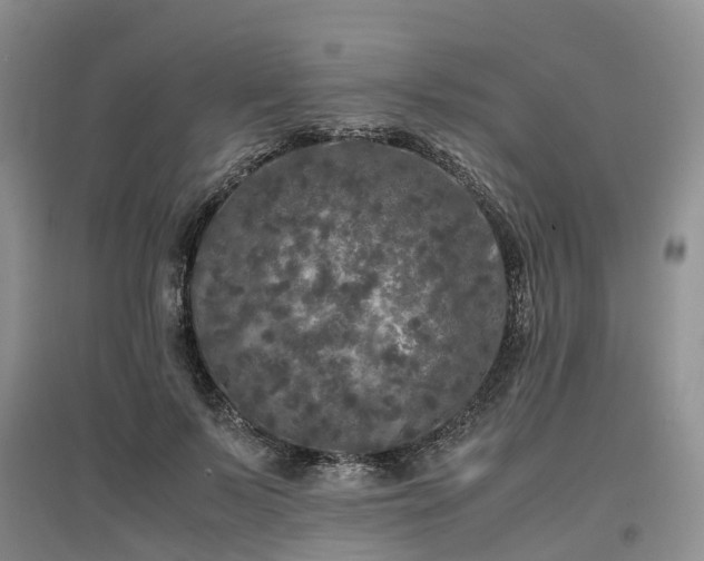 X0000097000695200802151414