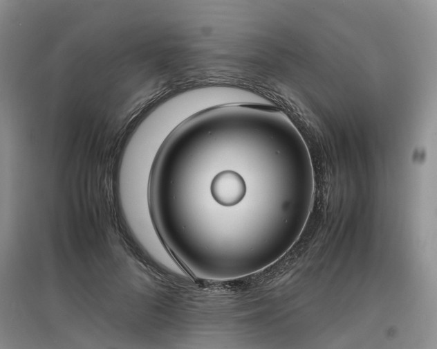 X0000097000696200802151414
