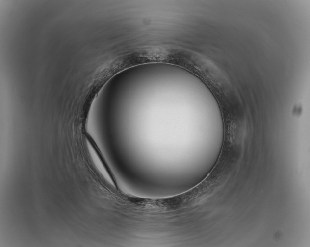 X0000097000697200802151414