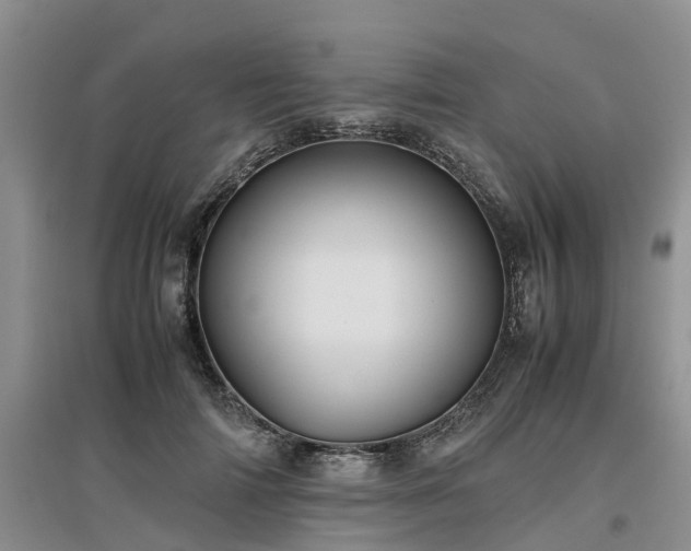 X0000097000698200802151414