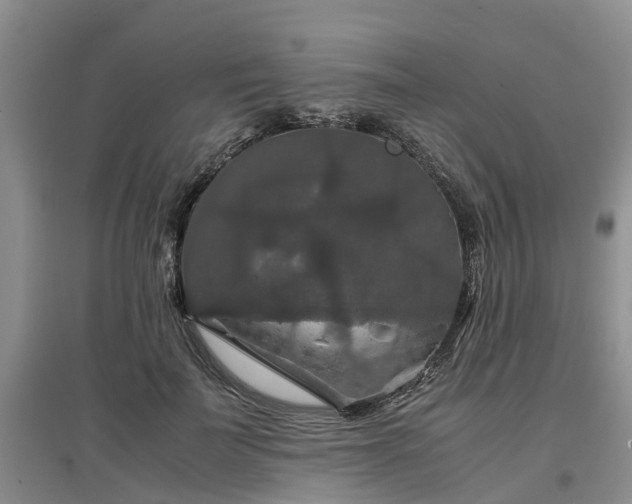 X0000097000699200802151414