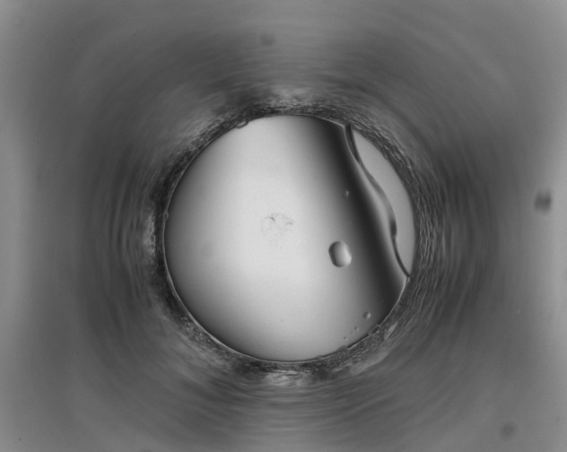 X0000097000700200802151414