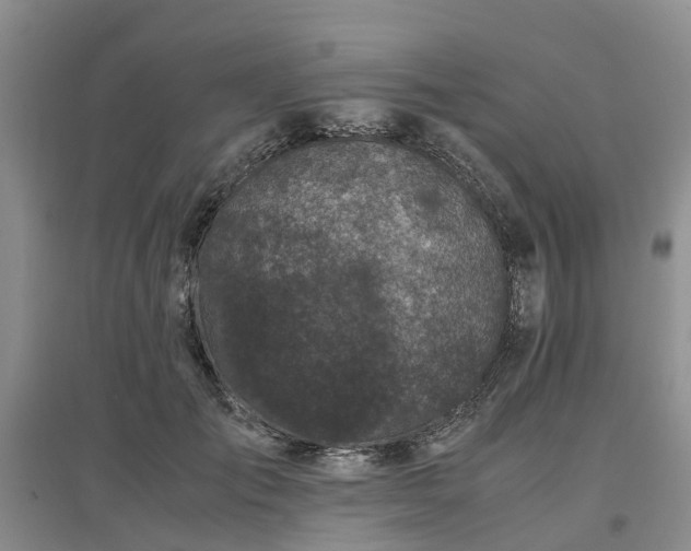 X0000097000701200802151414