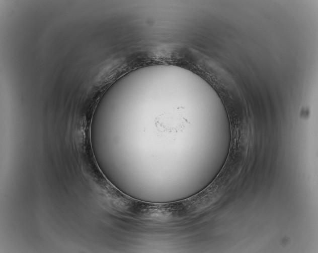 X0000097000702200802151414