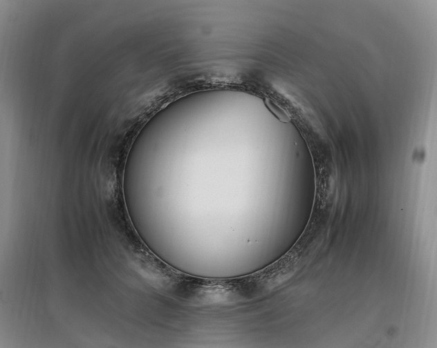 X0000097000704200802151414