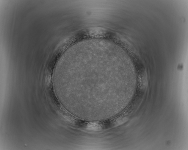 X0000097000705200802151414