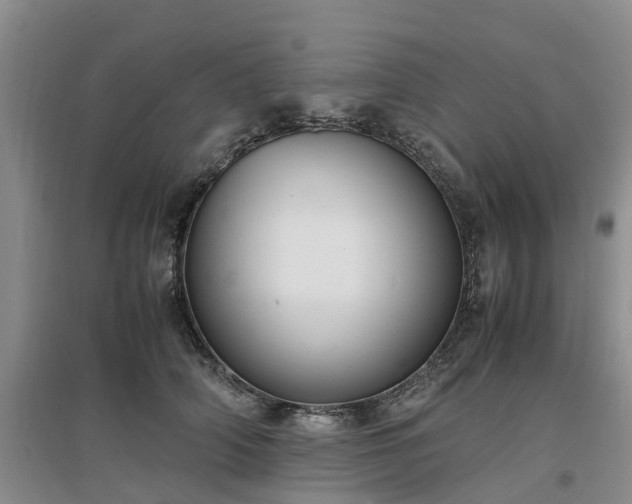 X0000097000706200802151414